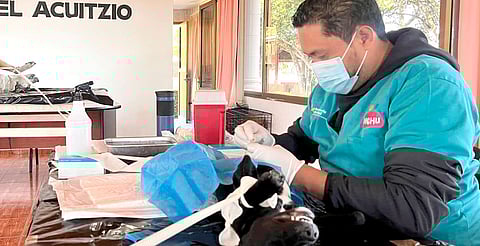 La intervención quirúrgica gratuita se realizará el miércoles 23 de abril de 2025