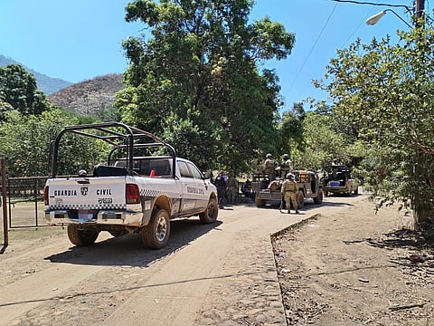 Desactivan cuatro minas terrestres en Chinicuila, Michoacán