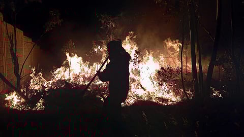 Brigadas ya se encuentran en combate de incendio en Tuxpan: Cofom