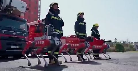China lanza su tecnología contra el fuego: así son los nuevos robots cuadrúpedos