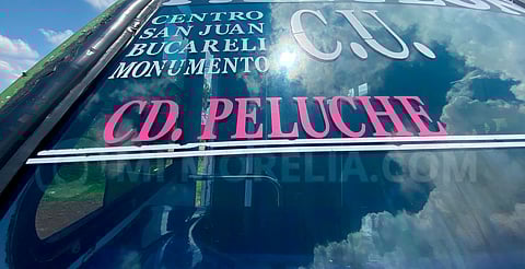 ¿Dónde queda? Así es Ciudad Peluche, la colonia de Morelia que podría desaparecer