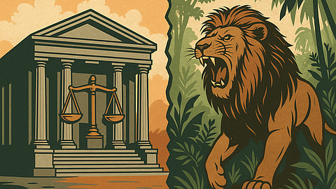 Entre el orden y la selva: el frágil equilibrio entre el Estado de derecho y la ley del más fuerte