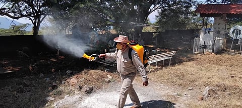 Bajan 65 % casos de dengue en Michoacán: SSM
