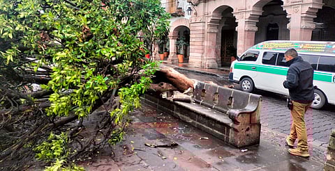 Banca de cantera rosa en Plaza de Armas será restaurada tras aprobación del INAH