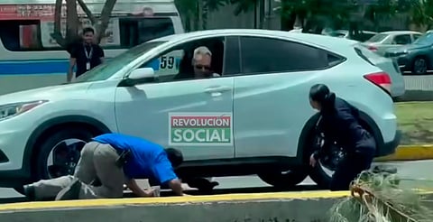 Gallina se escapa en avenida Camelinas y provoca caos vial [VIDEO]