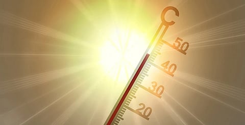 Portugal bajo fuego: 69 muertes y noches de 31°C en plena ola de calor