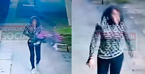Se mete a vivero de Morelia y se roba más de $30 mil en plantas, denuncian [Video]