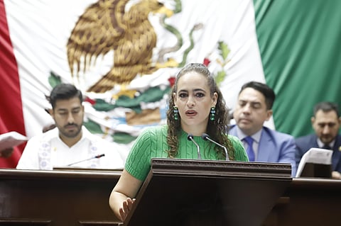 Propone Sandra Arreola cerrar el paso a la impunidad ambiental en Michoacán