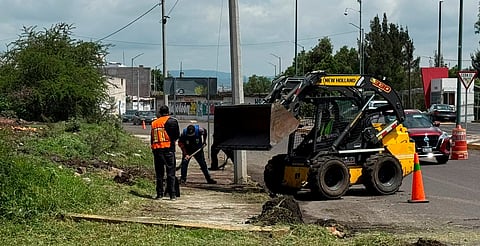 Embellecen accesos de Morelia con jornada de limpieza integral en la avenida Miguel Hidalgo