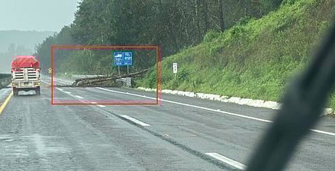 ¡Precaución! Árboles caídos afectan tránsito en la Pátzcuaro–Uruapan