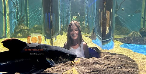 Ya puedes visitar la pecera 360° del zoológico de Morelia; su acceso, incluido si pagas el acuario