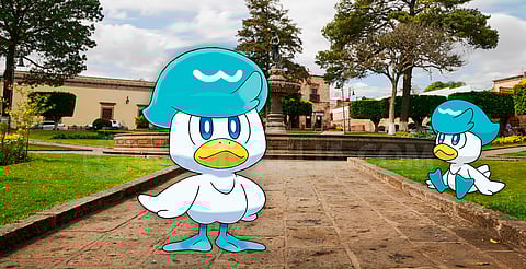 ¡Entrenador, prepárate! Quaxly aterriza en Morelia este Día de la Comunidad