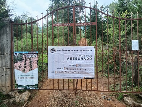 Catean y aseguran predio relacionado con delitos contra el ambiente en Erongarícuaro