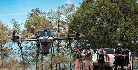 Gobierno de Michoacán combate deforestación con dron, siembra 24 mil semillas en Hidalgo