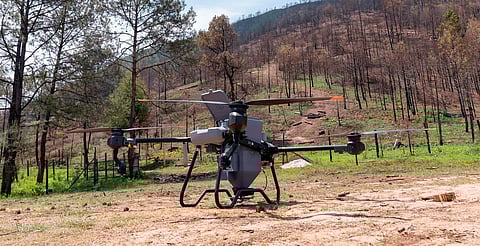 Así es la innovadora técnica de reforestación con drones para recuperar bosques michoacanos