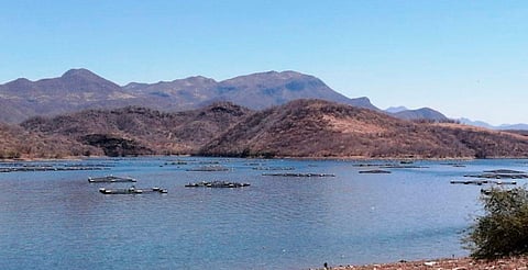 Presas de Michoacán, al 64.7% de su capacidad; solo una está al 100%