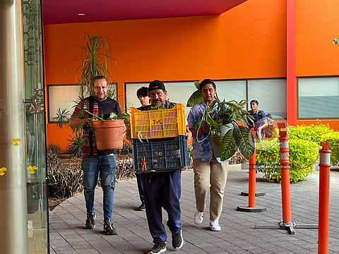 Realizan en Morelia Trueque de Plantas con Causa a beneficio del Teletón