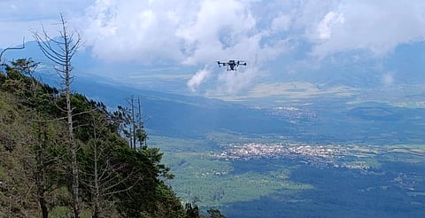 Michoacán siembra con drones 24 mil semillas de árboles en Paracho y Uruapan