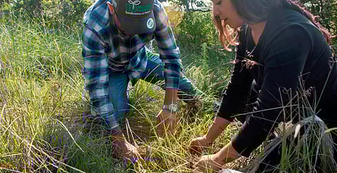 Jóvenes reforestan bosque en Hidalgo; plantan más de 8 mil árboles