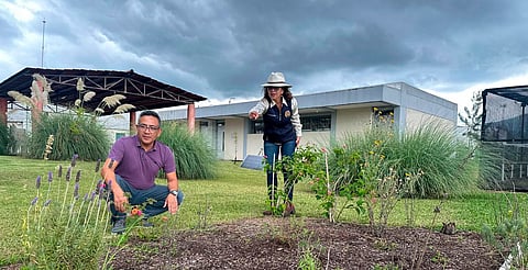 UMSNH pone en marcha proyecto de "Jardín para polinizadores", busca abonar en el cuidado del medio ambiente