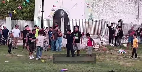¡Golpean animales como piñatas! Investigan violenta "tradición" en Campeche