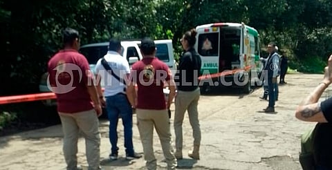Joven cortador de aguacate muere electrocutado en Peribán