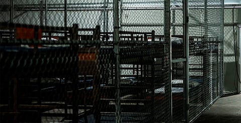 Sheinbaum confirma que 81 mexicanos están detenidos en Alligator Alcatraz, EU