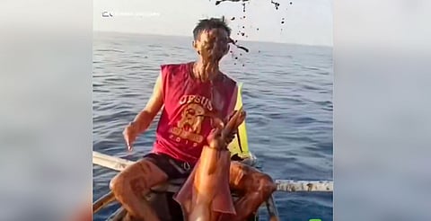 [VIDEO] Calamar convierte una pesca en una ‘guerra de tinta’ en Filipinas