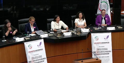 Inseguridad, el mayor problema en Michoacán para las juventudes: Celeste Ascencio