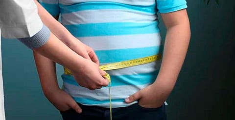 Hábitos familiares, falta de actividad física y alimentos ultraprocesados, entre los factores clave