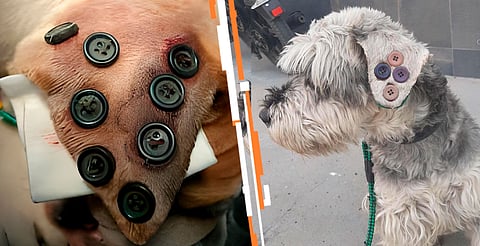 El procedimiento es seguro, económico y sin riesgo de deformidades