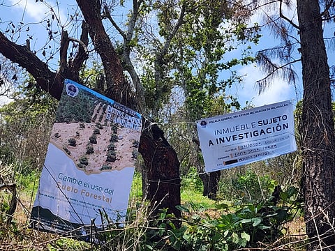 Cumplimenta FGE orden de cateo en predio relacionado con delitos contra el ambiente