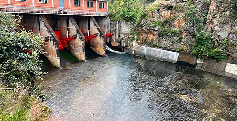 ¡Atención! Mañana reactivan desfogue de la presa Cointzio