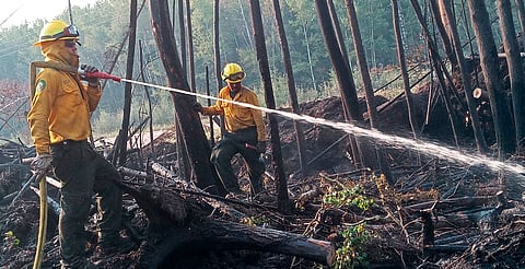 Persisten en la línea de fuego: cinco brigadas mexicanas continúan en Canadá