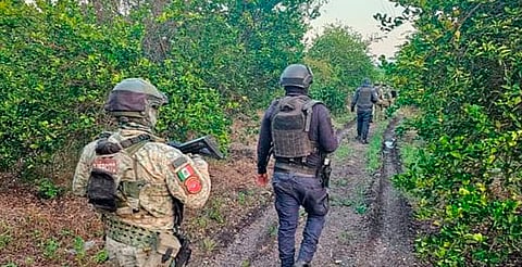 Bois se mantendrán en la región de Tierra Caliente, aclara Segob
