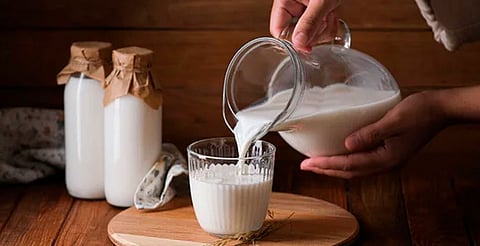 ¿Cuál leche conviene más? Profeco analiza 85 productos 