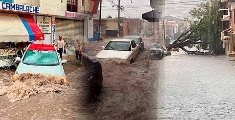 Ríos de agua en calles de La Piedad: tormenta arrastra autos y derriba árboles [VIDEOS]