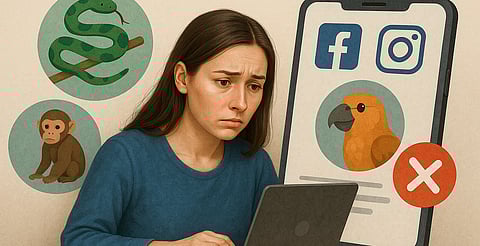Desactivan perfiles por venta de animales silvestres en Facebook e Instagram