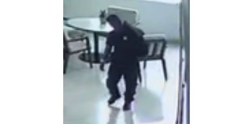 Investigan a policía en Uruapan por presunto actuar indebido en evento animalista