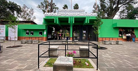 Sin afectaciones Zoológico de Morelia por lluvias