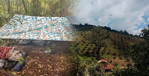 Hallan campamento criminal en Zirahuén; refuerzan operativos en al menos 5 municipios