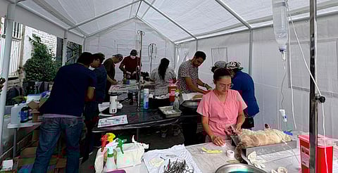 Estas jornadas se programan para llegar a todas las colonias de Morelia