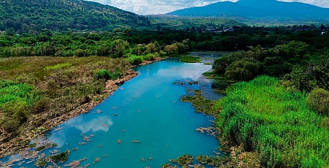 Avanza recuperación del manantial de La Mintzita: Compesca