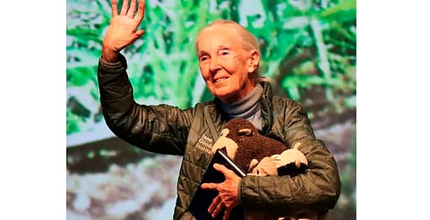 Muere Jane Goodall, pionera del estudio de los chimpancés, a los 91 años