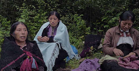 "Formas de atravesar un territorio" se exhibirá gratis en Morelia