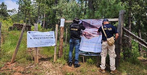 Cumplimenta FGE cateo en predio relacionado con tala ilegal e incendio forestal en Charo