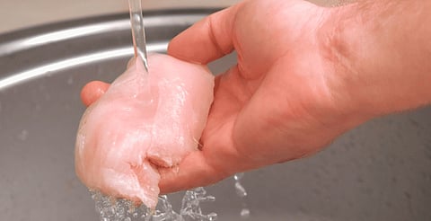 La bacteria Campylobacter jejuni puede causar diarrea, fiebre y síndrome de Guillain-Barré