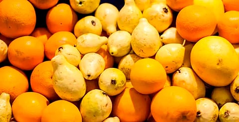 Michoacán lidera en producción de guayaba; Profeco publica precios más bajos y altos