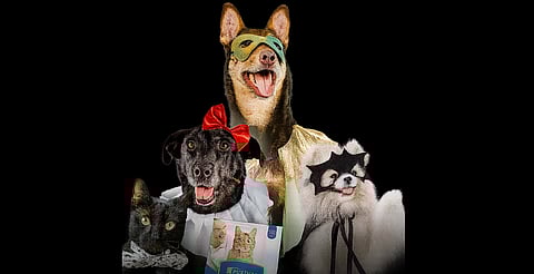 ¡Perritos fantasmales invadirán Morelia! Habrá premios, adopciones y altares; ¿cuándo y dónde?