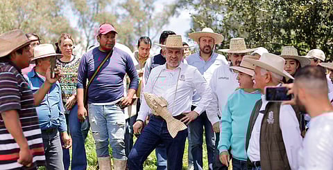 Para proteger al campo, Bedolla envía a Sheinbaum propuesta de precios justos del maíz